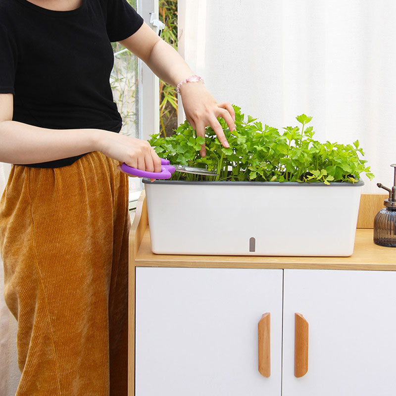 AquaBloom Planter
