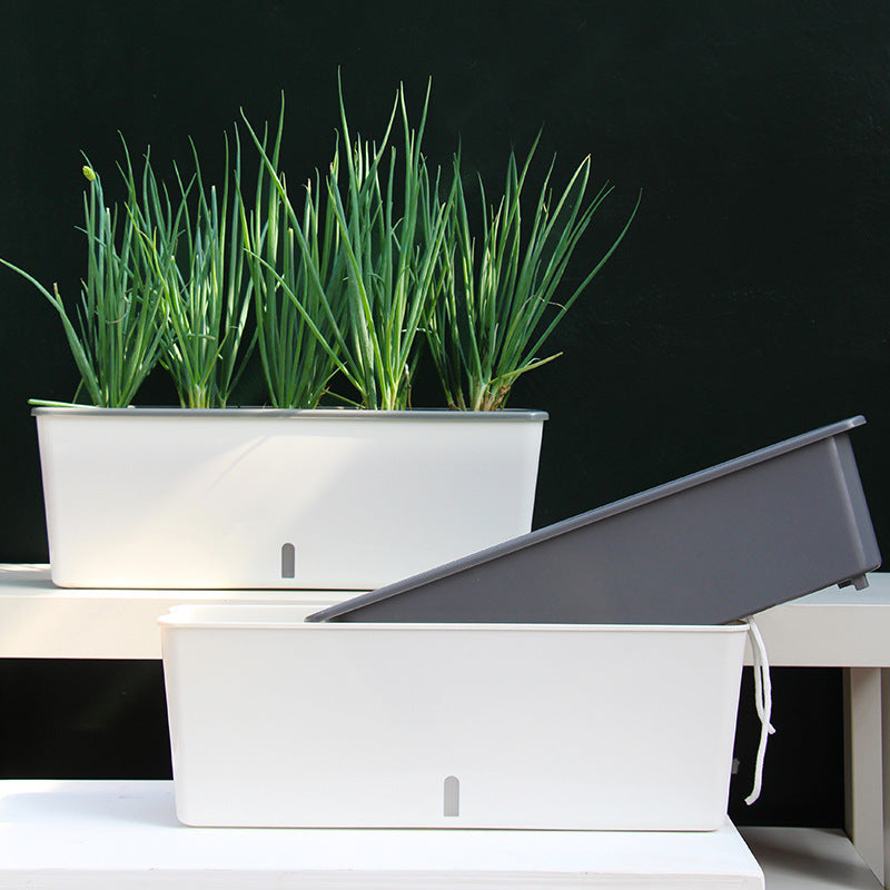 AquaBloom Planter
