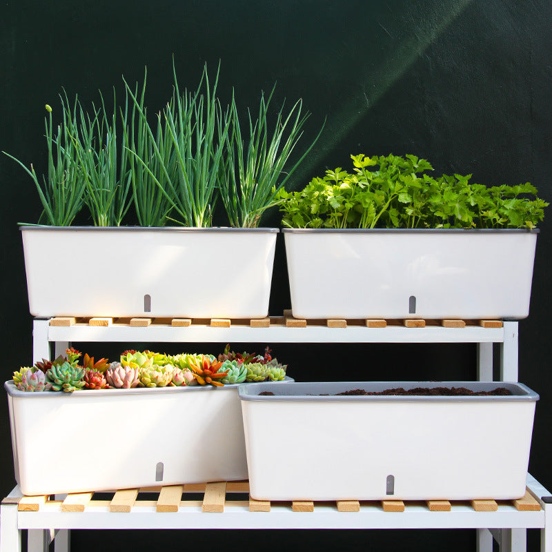 AquaBloom Planter