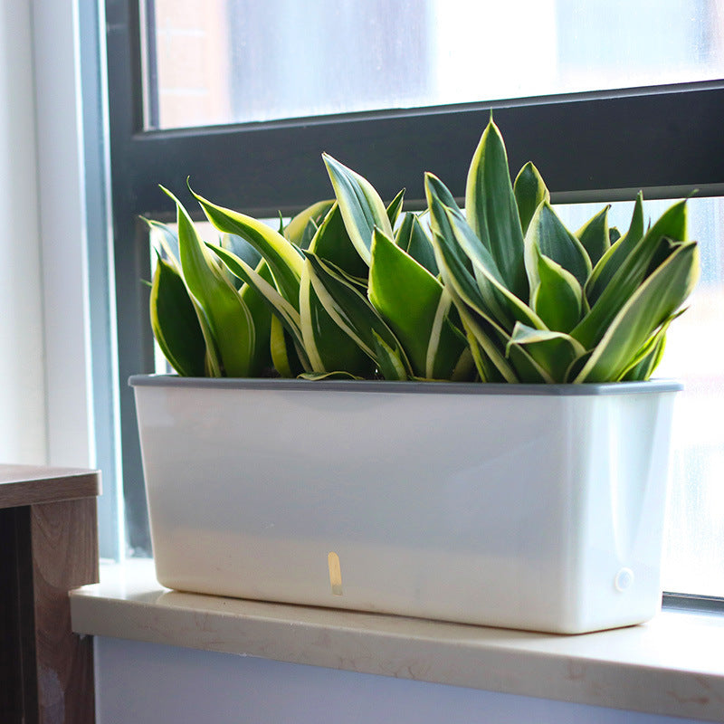 AquaBloom Planter