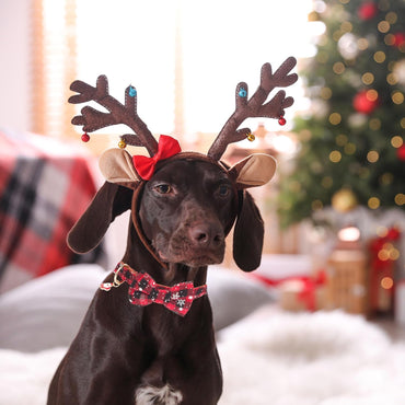 ADOGGYGO Adjustable Dog Bowtie Collar Red Green Plaid