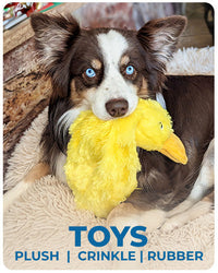 Duck Plush Dog Toy (Squeaky)