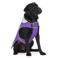 Winter Reflective Nightwear for Pets