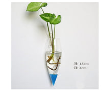 Fashion Wall Hanging Glass Flower Vase