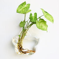 Fashion Wall Hanging Glass Flower Vase