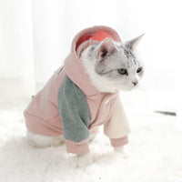 Cozy Paws Winterwear