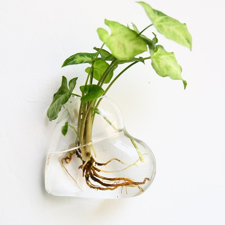 Fashion Wall Hanging Glass Flower Vase