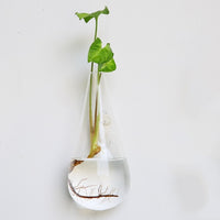 Fashion Wall Hanging Glass Flower Vase