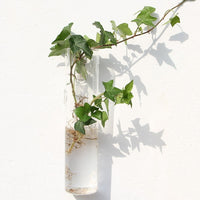 Fashion Wall Hanging Glass Flower Vase