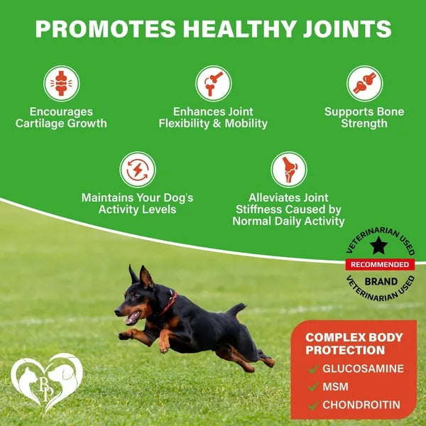 Hip & Joint Support Chews for Dogs