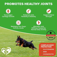 Hip & Joint Support Chews for Dogs