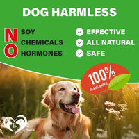 Hip & Joint Support Chews for Dogs