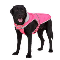 Winter Reflective Nightwear for Pets