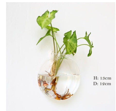 Fashion Wall Hanging Glass Flower Vase
