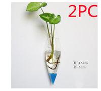 Fashion Wall Hanging Glass Flower Vase