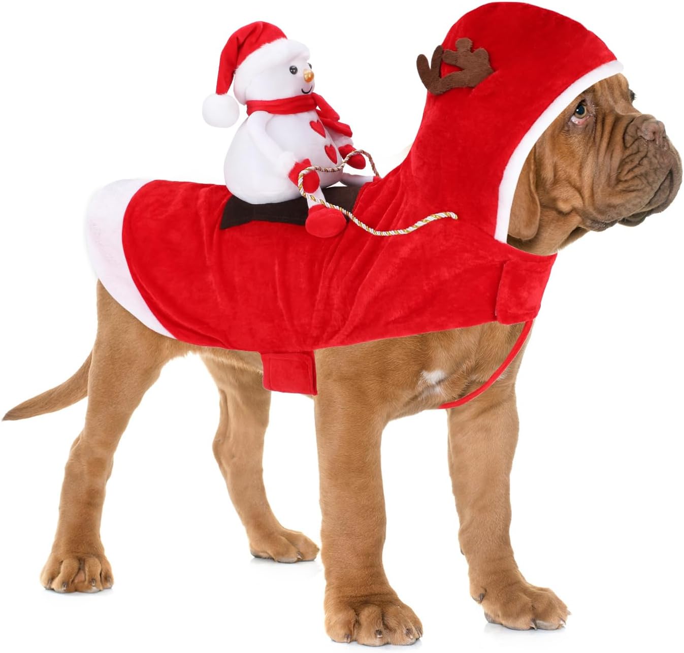 BWOGUE Christmas Pet Costume for Dogs and Cats