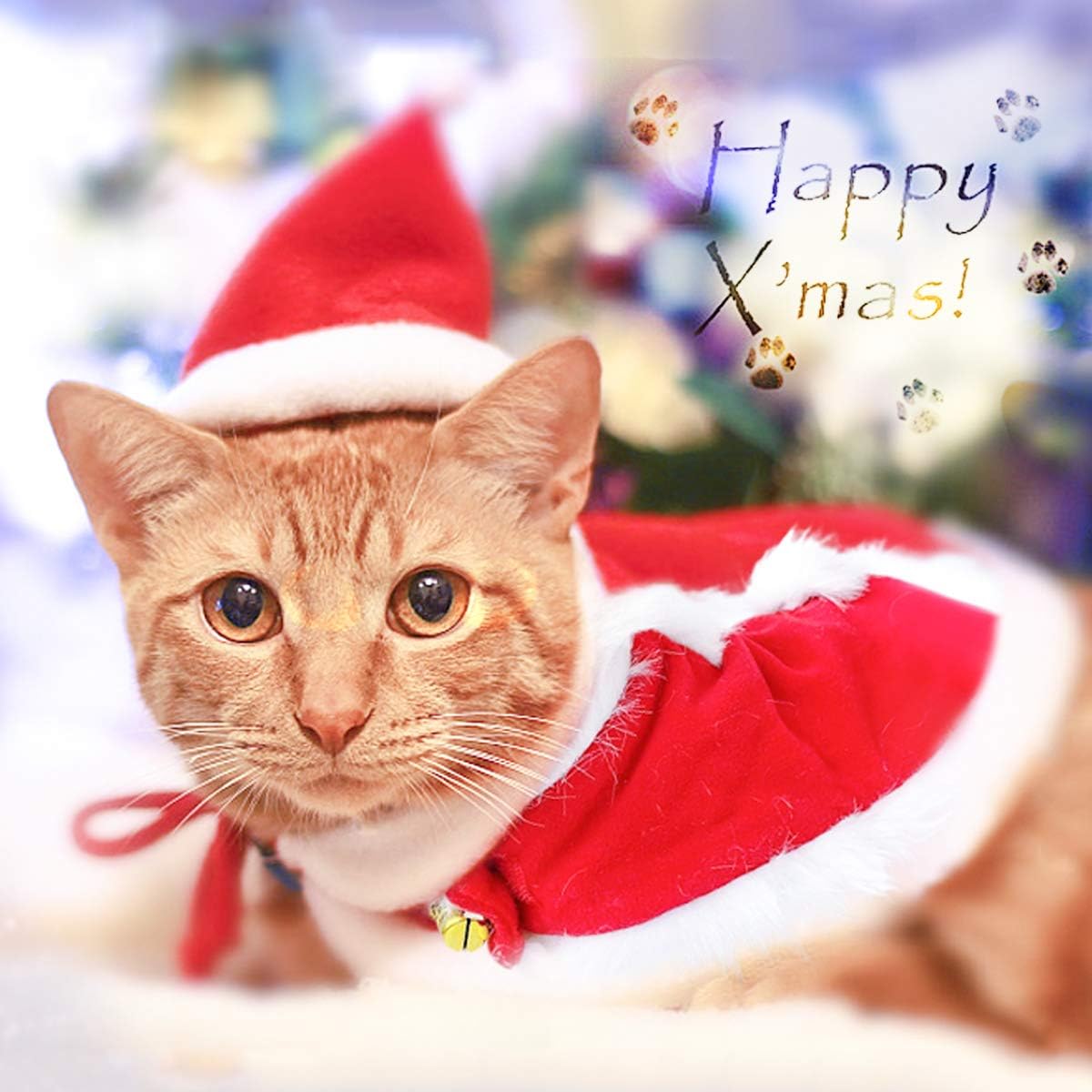 Pet Santa Hat and Red Cloak for Cats Dogs and Rabbits