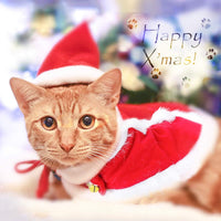 Pet Santa Hat and Red Cloak for Cats Dogs and Rabbits