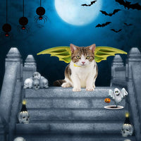 Dragon Wings Costume for Cats & Dogs