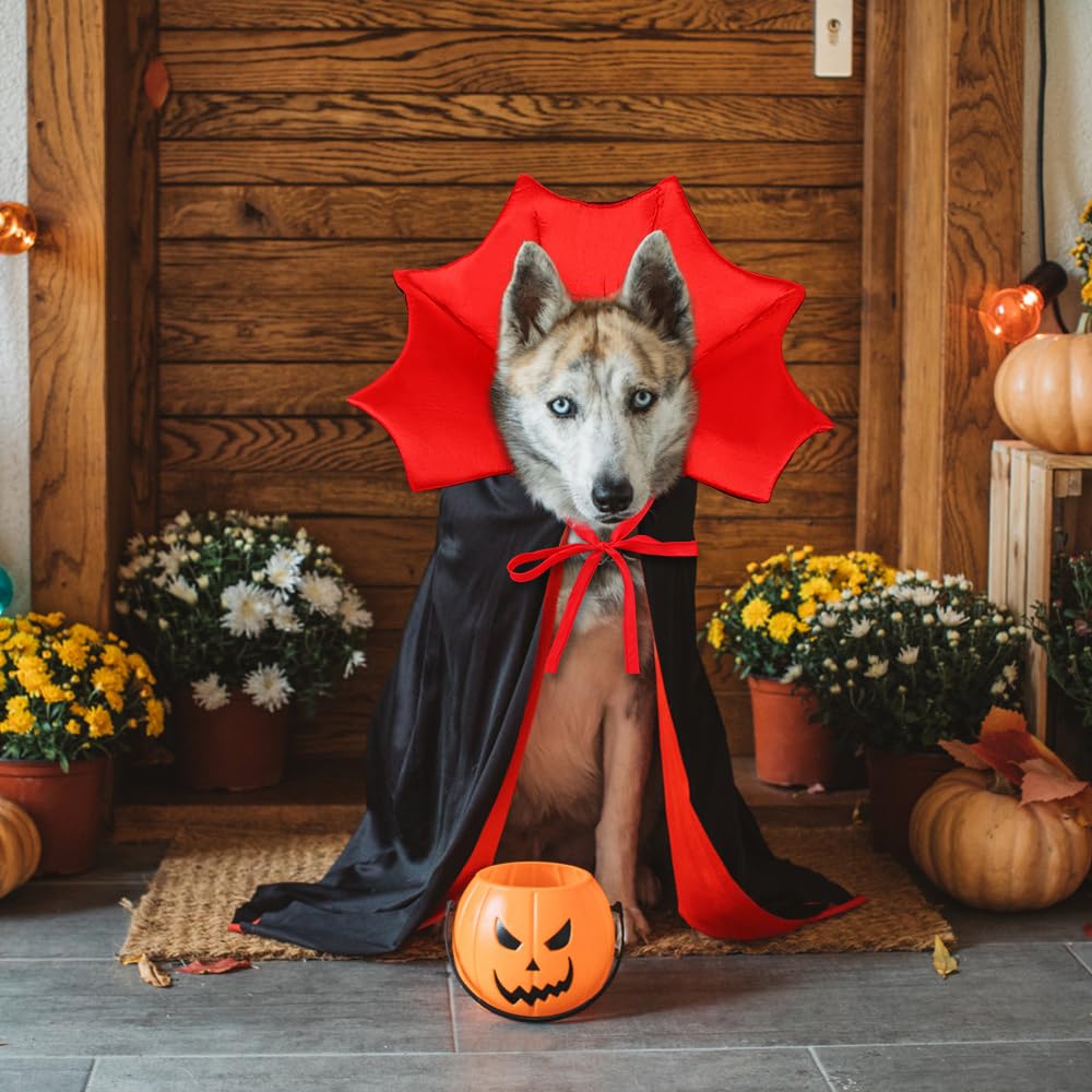 Vampire/Wizard/Witch Costume for Cats & Small Dogs