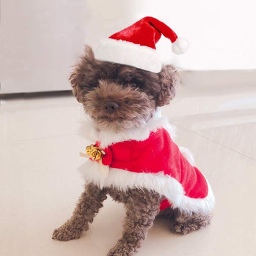 Pet Santa Hat and Red Cloak for Cats Dogs and Rabbits