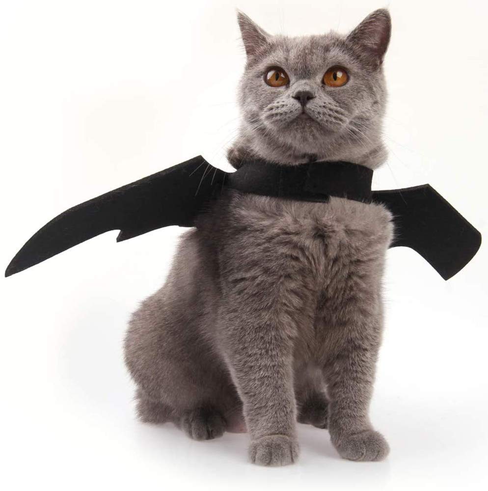 Cat Halloween Bat Wings Costume – Dress-Up Accessory for Cats & Small Dogs