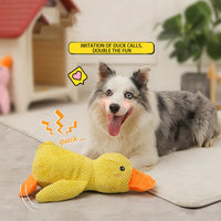 Duck Plush Dog Toy (Squeaky)