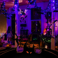 Minetom 25FT Halloween Purple String Lights
