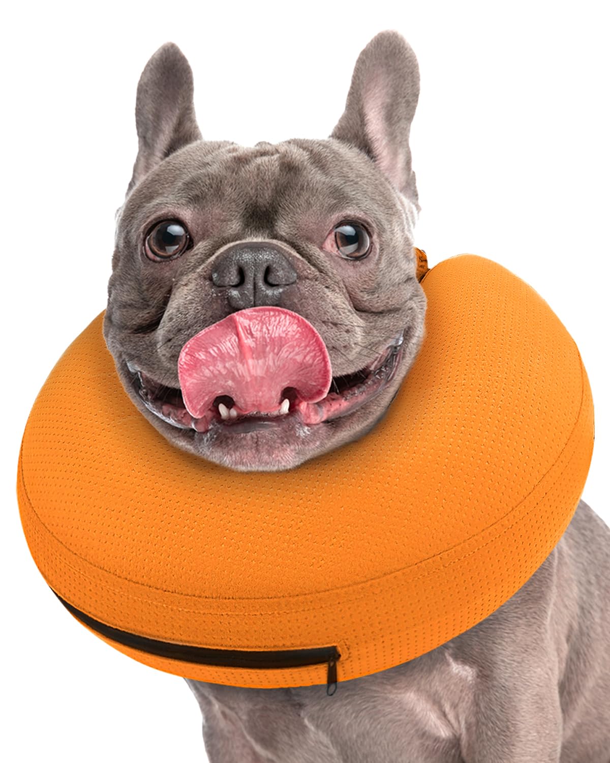 Super Inflatable Dog Cone Collar for Small Puppies Cats