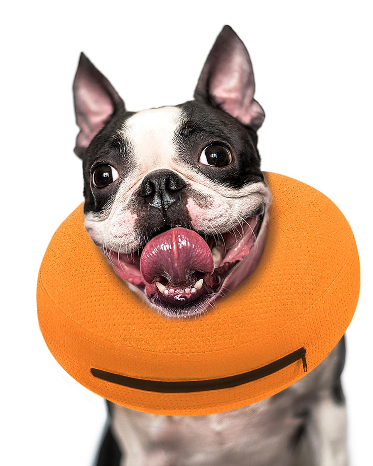 Super Inflatable Dog Cone Collar for Small Puppies Cats