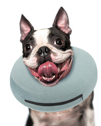Super Inflatable Dog Cone Collar for Small Puppies Cats