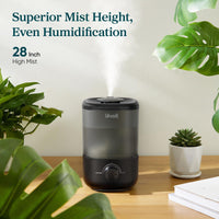 LEVOIT Classic 160 Top-Fill Ultrasonic Cool Mist Humidifier
