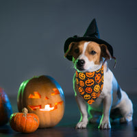 ADOGGYGO Halloween Dog Bandana