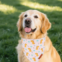 ADOGGYGO Halloween Dog Bandana