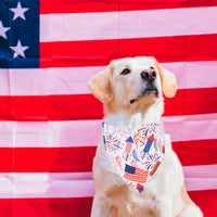 ADOGGYGO Halloween Dog Bandana