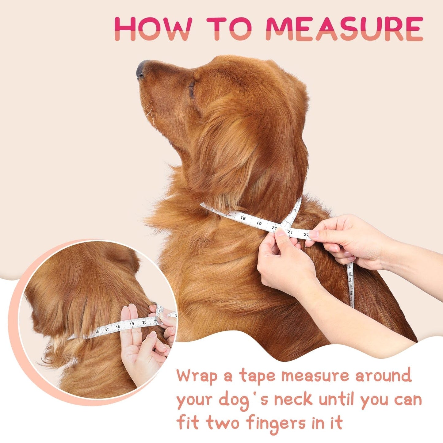 Super Inflatable Dog Cone Collar for Small Puppies Cats