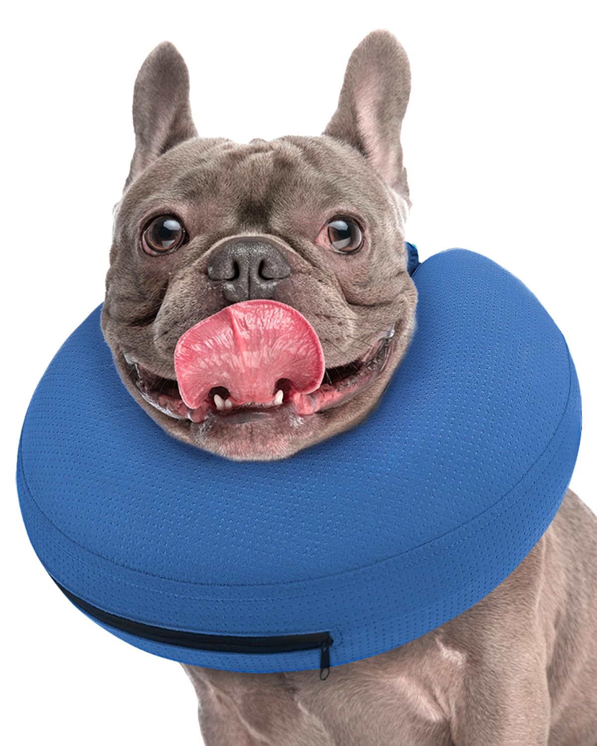 Super Inflatable Dog Cone Collar for Small Puppies Cats