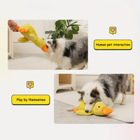 Duck Plush Dog Toy (Squeaky)