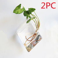 Fashion Wall Hanging Glass Flower Vase