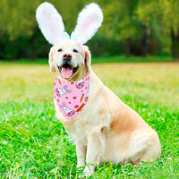 ADOGGYGO Halloween Dog Bandana