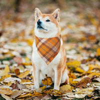 ADOGGYGO Halloween Dog Bandana