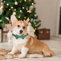 ADOGGYGO Adjustable Dog Bowtie Collar Red Green Plaid