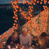 TURNMEON 2-Pack 20ft Maple Leaf LED String Lights