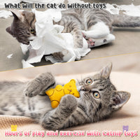 MALLMALL6 Halloween Catnip Toys – 5pcs Pumpkin Teething Set for Kittens & Cats