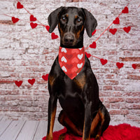 ADOGGYGO Halloween Dog Bandana