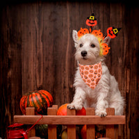 ADOGGYGO Halloween Dog Bandana
