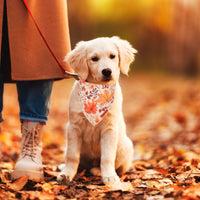 ADOGGYGO Halloween Dog Bandana
