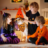 ADOGGYGO Halloween Dog Bandana