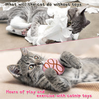 MALLMALL6 Halloween Catnip Toys – 5pcs Pumpkin Teething Set for Kittens & Cats