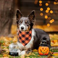 ADOGGYGO Halloween Dog Bandana